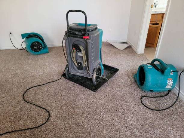 Professional Water damage restoration in Brownfields, LA