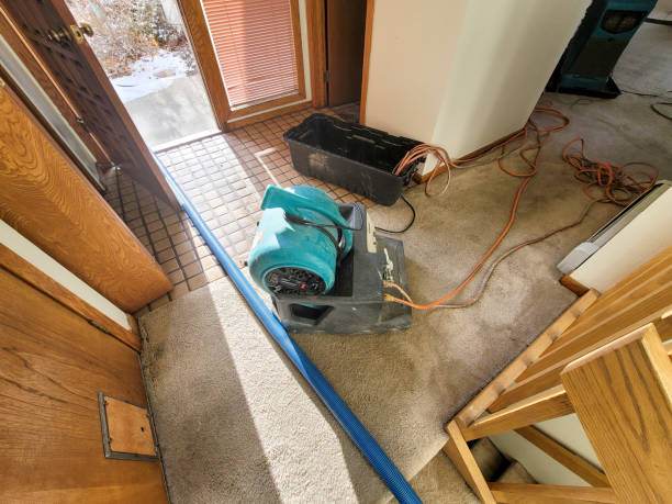 Best Emergency water damage restoration  in Brownfields, LA