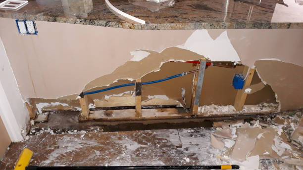 Best Basement water damage restoration  in Brownfields, LA