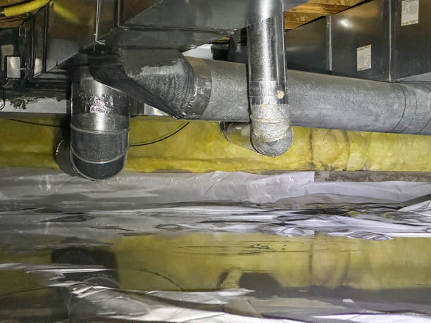 Best Water damage cleanup near me  in Brownfields, LA