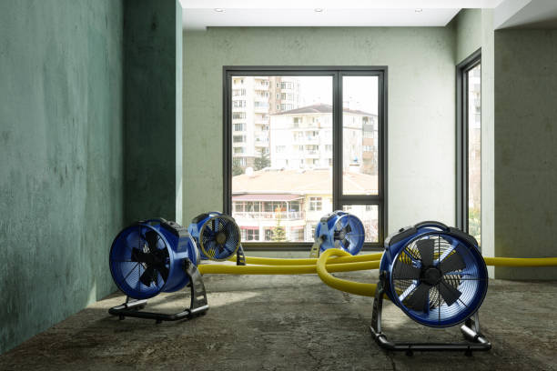 Best Ceiling water damage repair  in Brownfields, LA